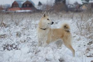 Милка 7 мес