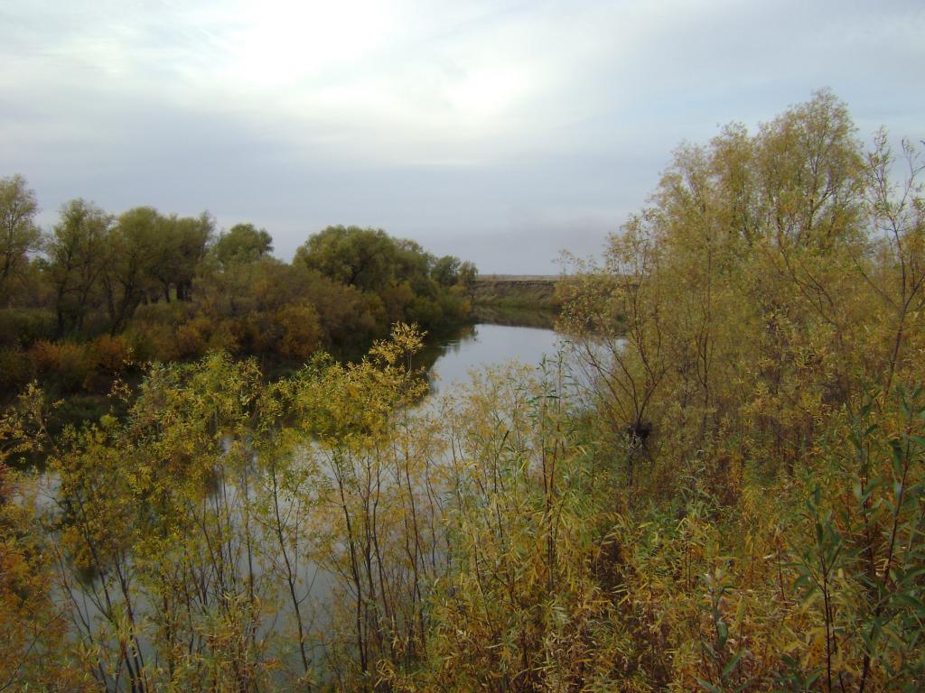 DSC03347