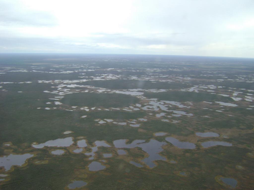 DSC01859