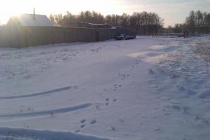 IMAG0553