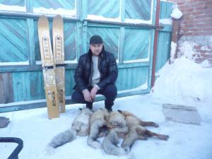 Зима 2014-2015. Немного поохотил лис.