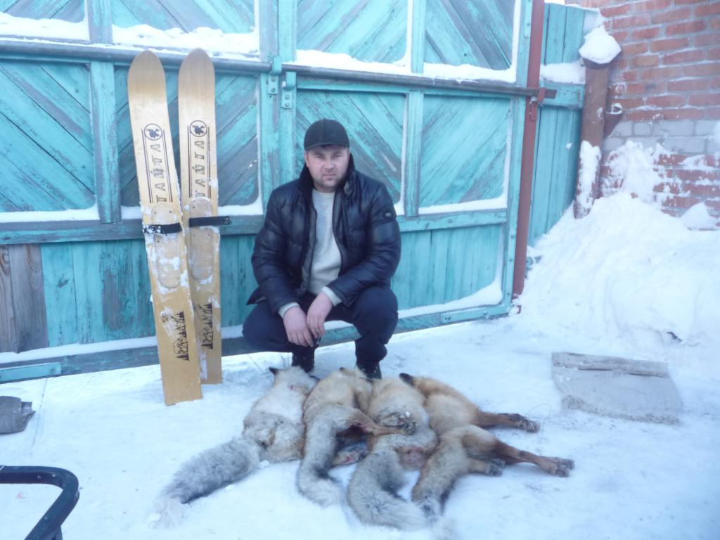 Зима 2014-2015. Немного поохотил лис.