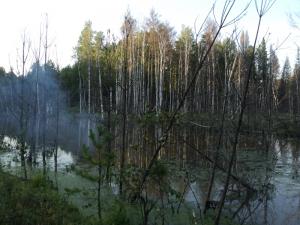 DSC00259