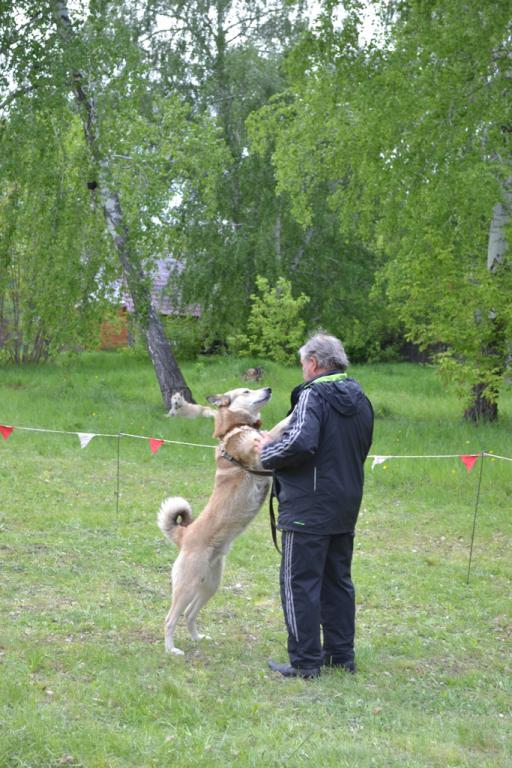 DSC_0013.JPG