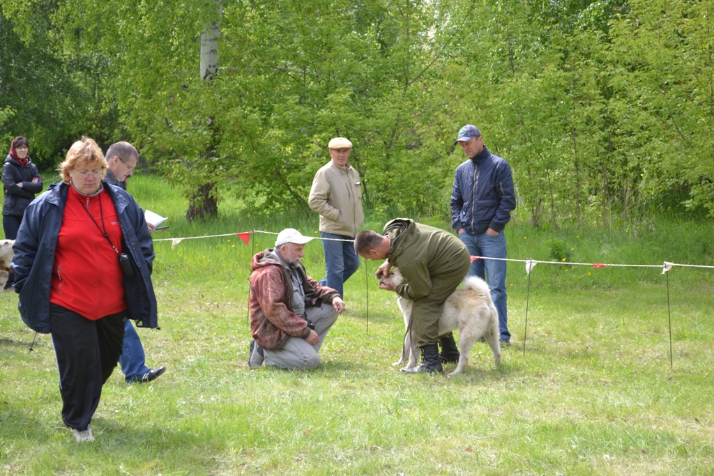 DSC_0016.JPG