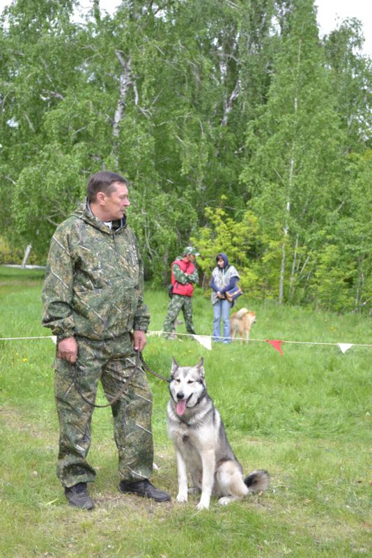 DSC_0022.JPG