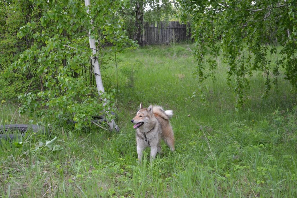 DSC_1067.JPG