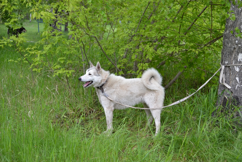 DSC_1070.JPG