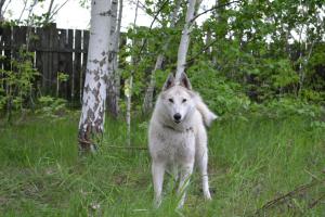 DSC_1074.JPG
