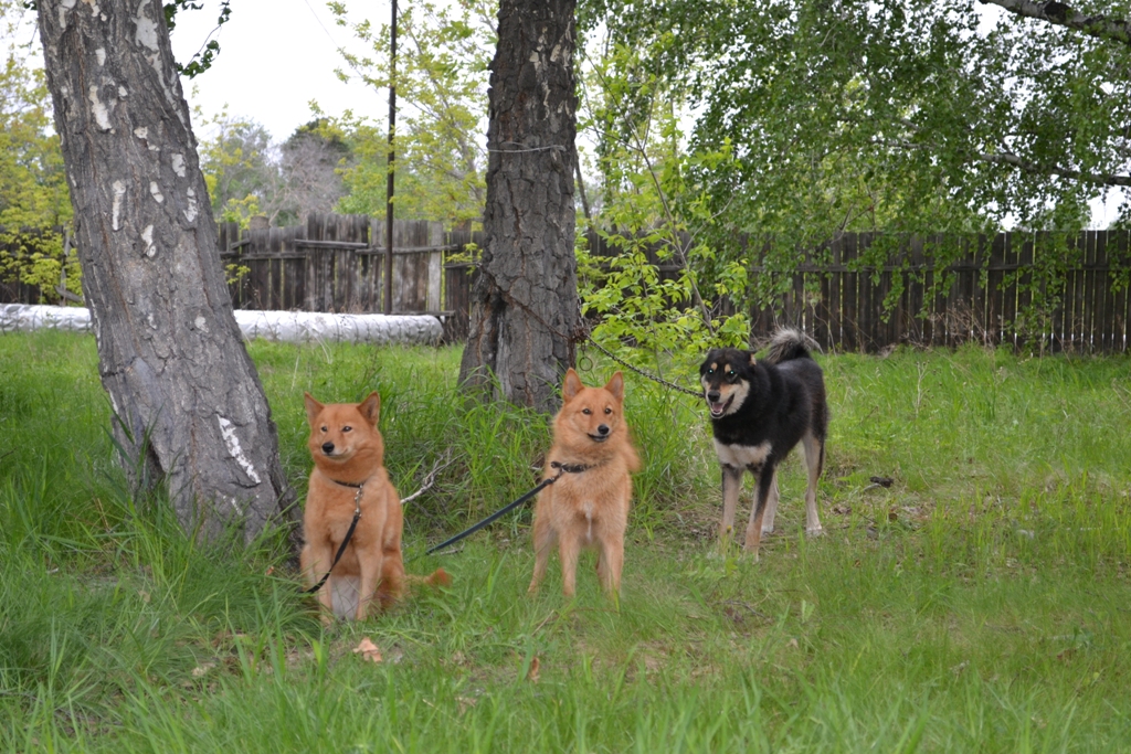 DSC_1076.JPG