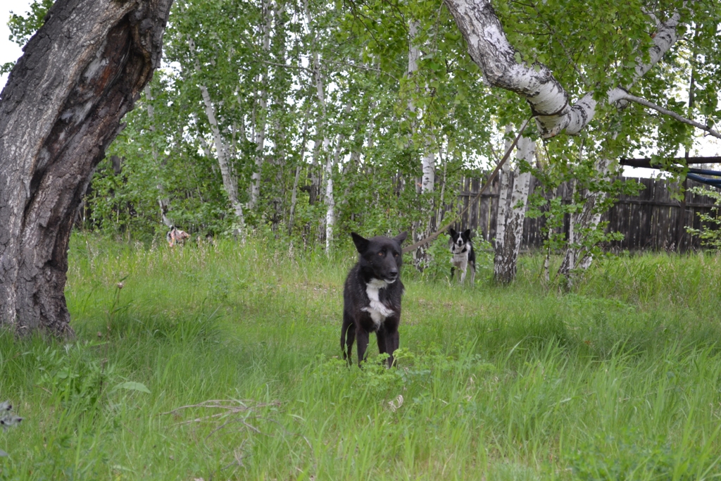 DSC_1077.JPG