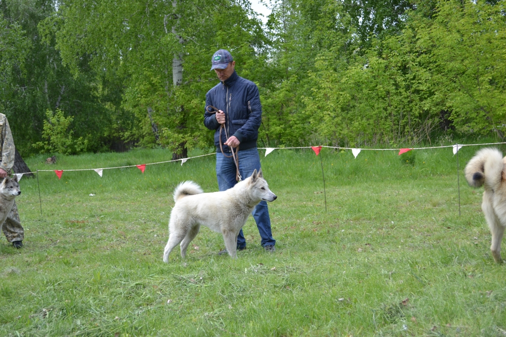 DSC_1084.JPG