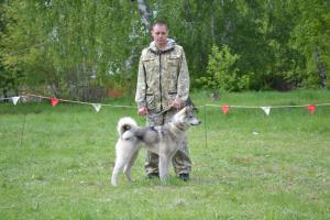 DSC_1086.JPG