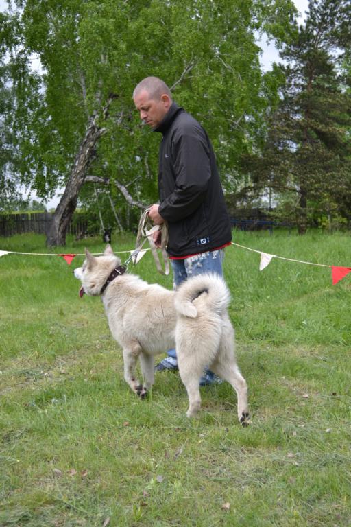 DSC_1088.JPG