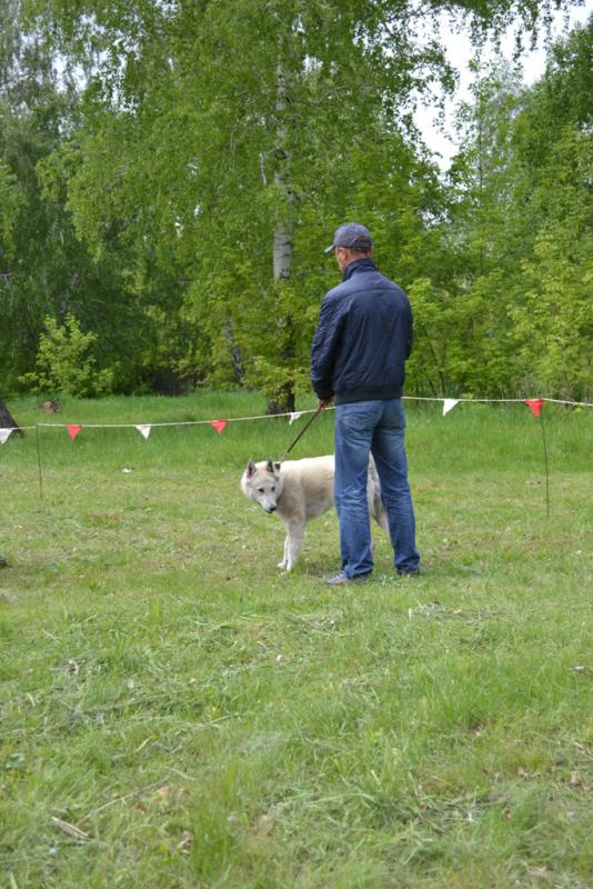 DSC_1090.JPG