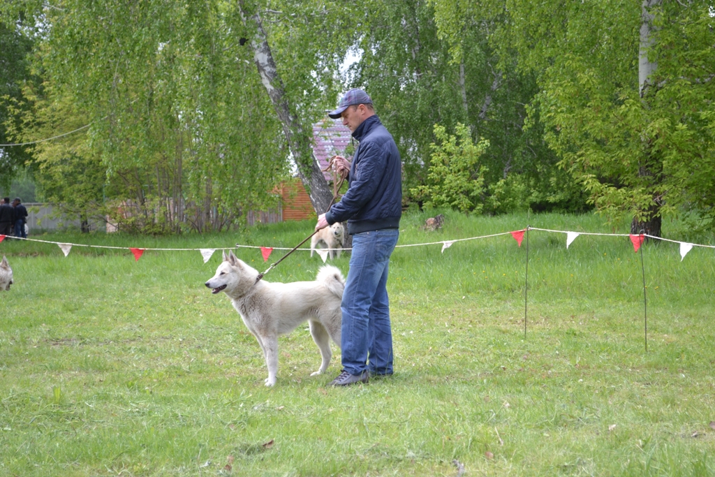 DSC_1091.JPG