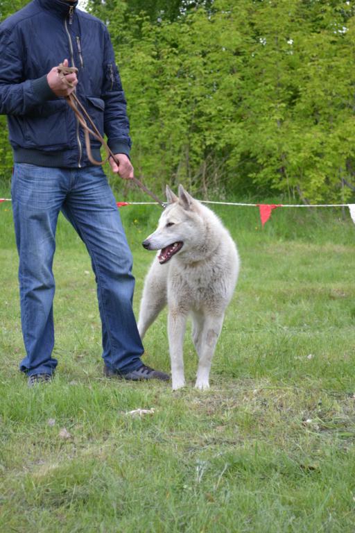 DSC_1093.JPG