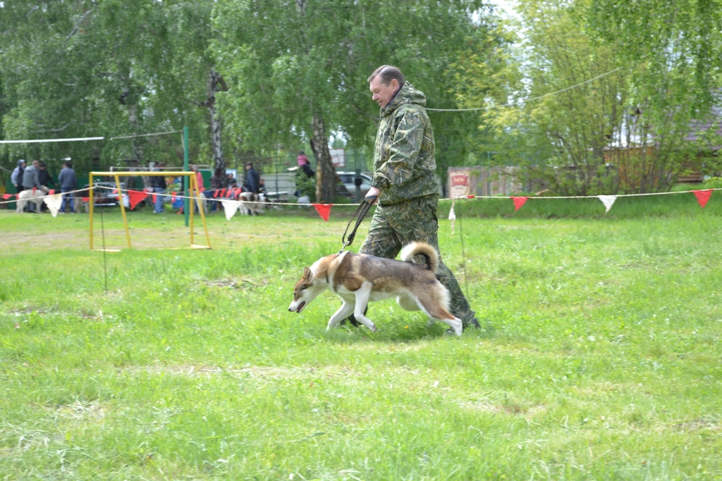DSC_1098.JPG