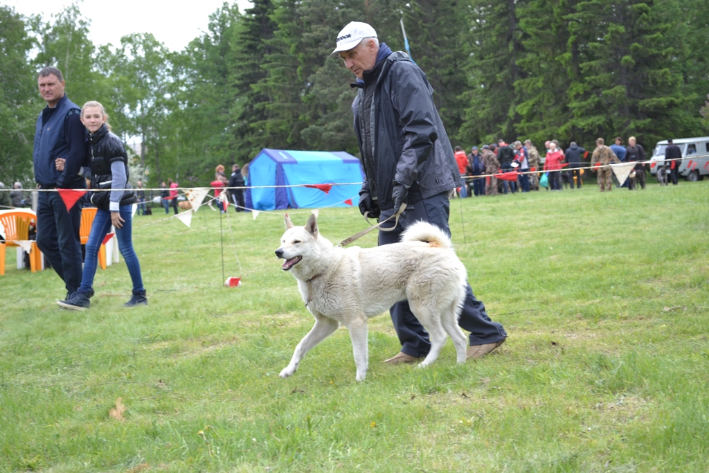 DSC_1103.JPG
