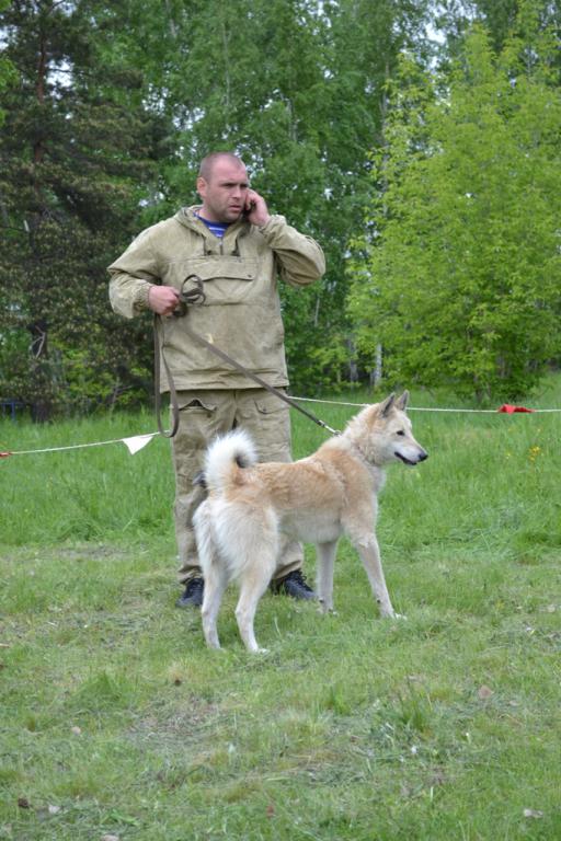 DSC_1105.JPG