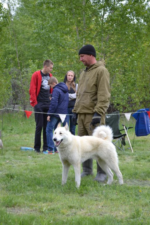 DSC_1113.JPG
