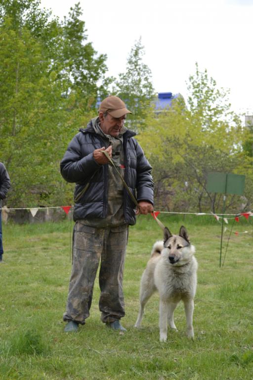 DSC_1114.JPG