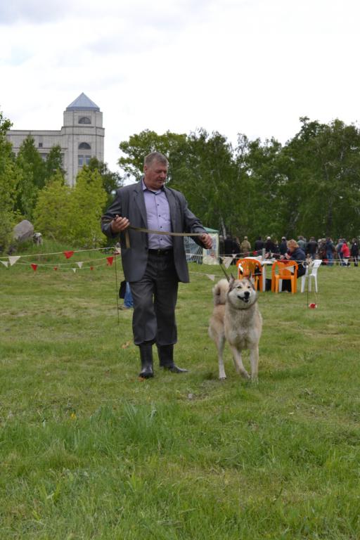 DSC_1116.JPG