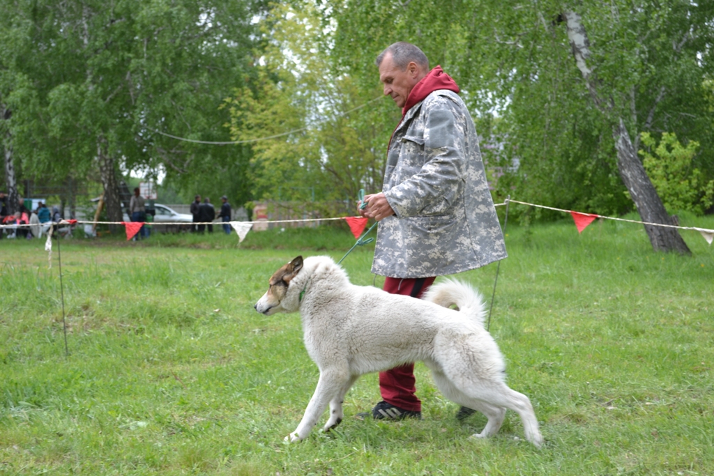 DSC_1123.JPG