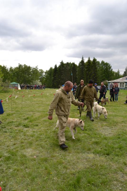 DSC_1125.JPG