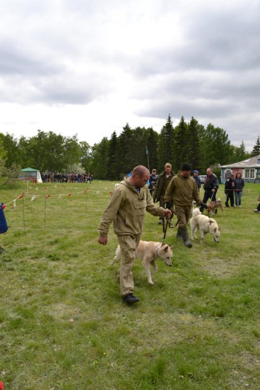 DSC_1125.JPG