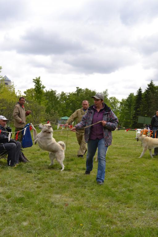 DSC_1130.JPG