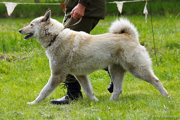 malish_3608-13_sincov5.jpg