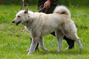 malish_3608-13_sincov6.jpg