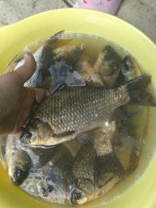 20140601_144150_resized