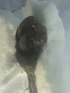 20150309_113631_resized