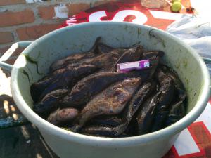 IMG_20150912_174342
