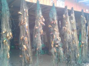 IMG_20150919_150548