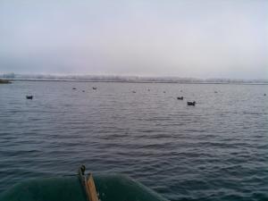 IMG_20151013_093700