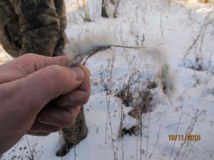 IMG_1189