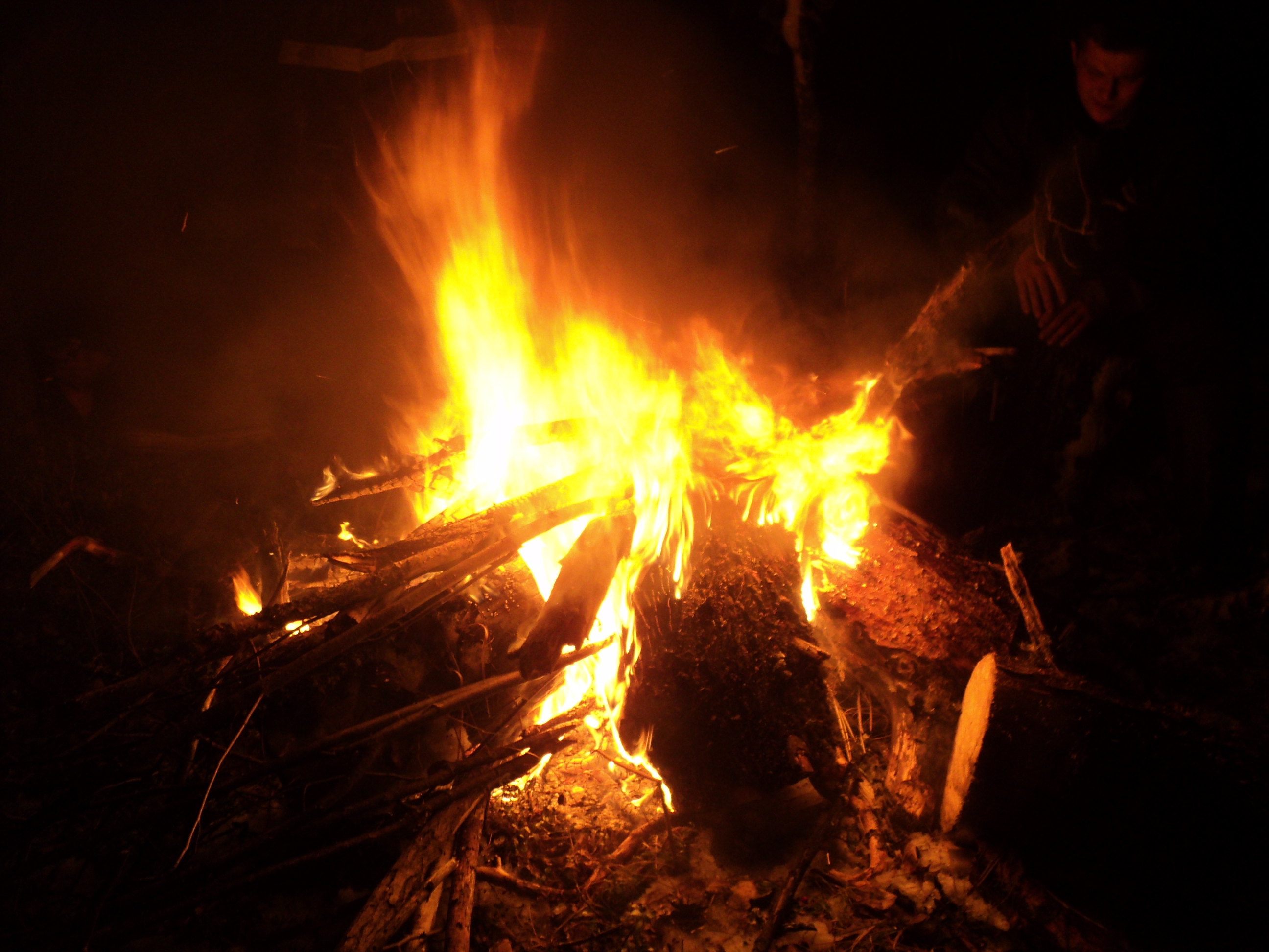 DSC09784.JPG