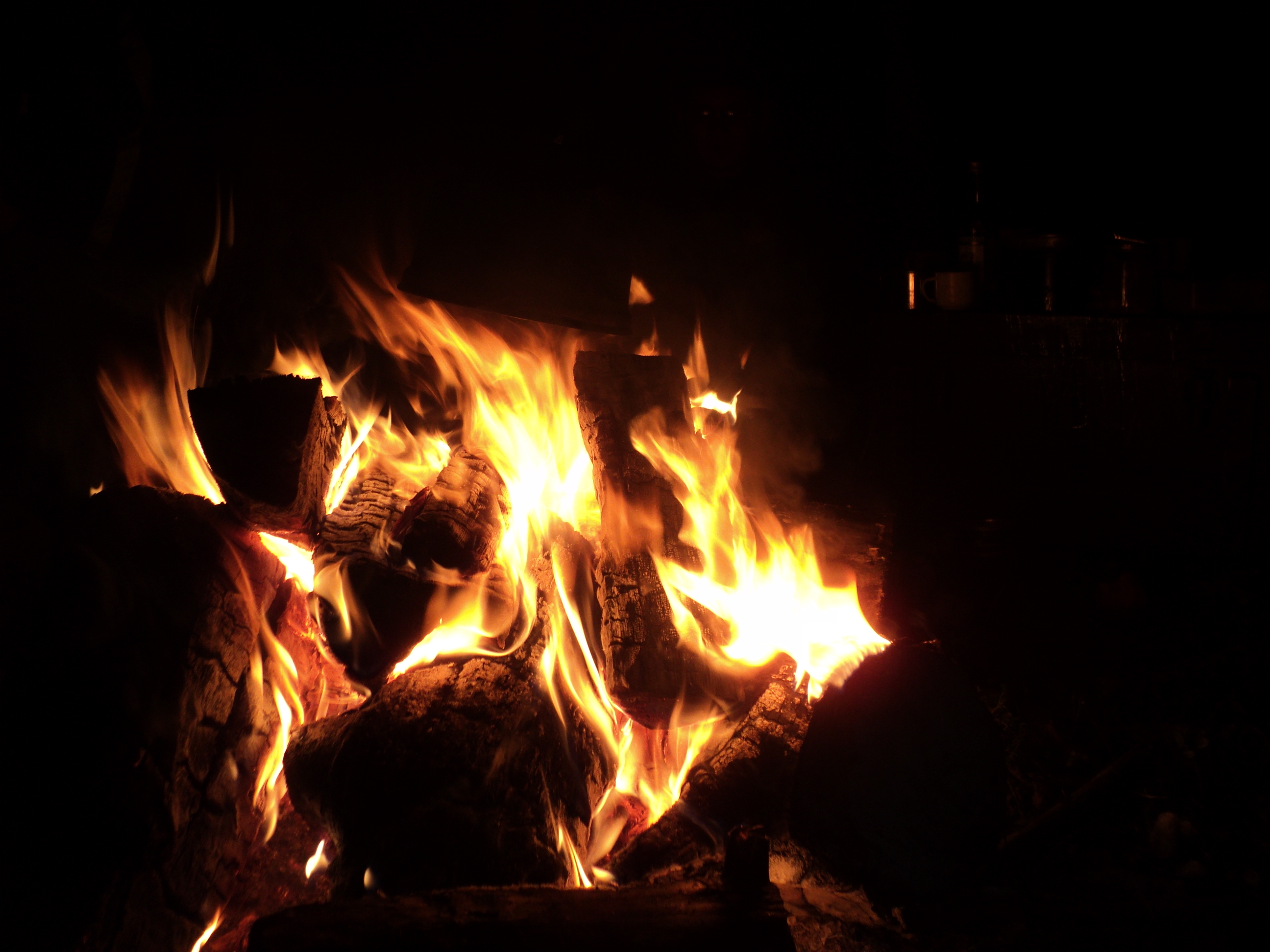 DSC09785.JPG