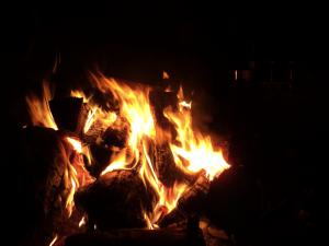 DSC09785.JPG