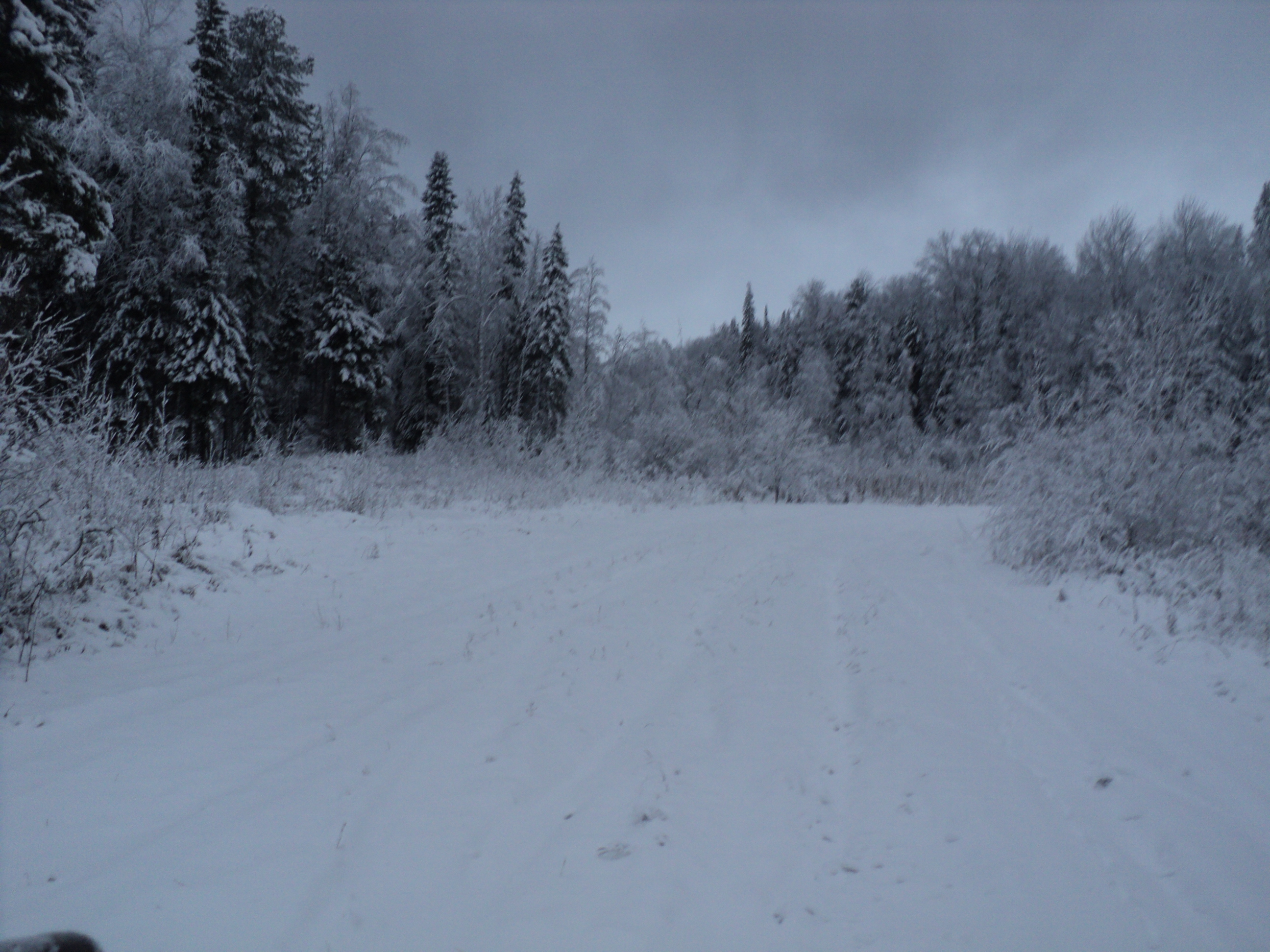 DSC09788.JPG