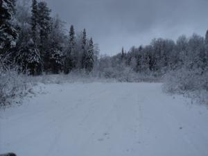 DSC09788.JPG