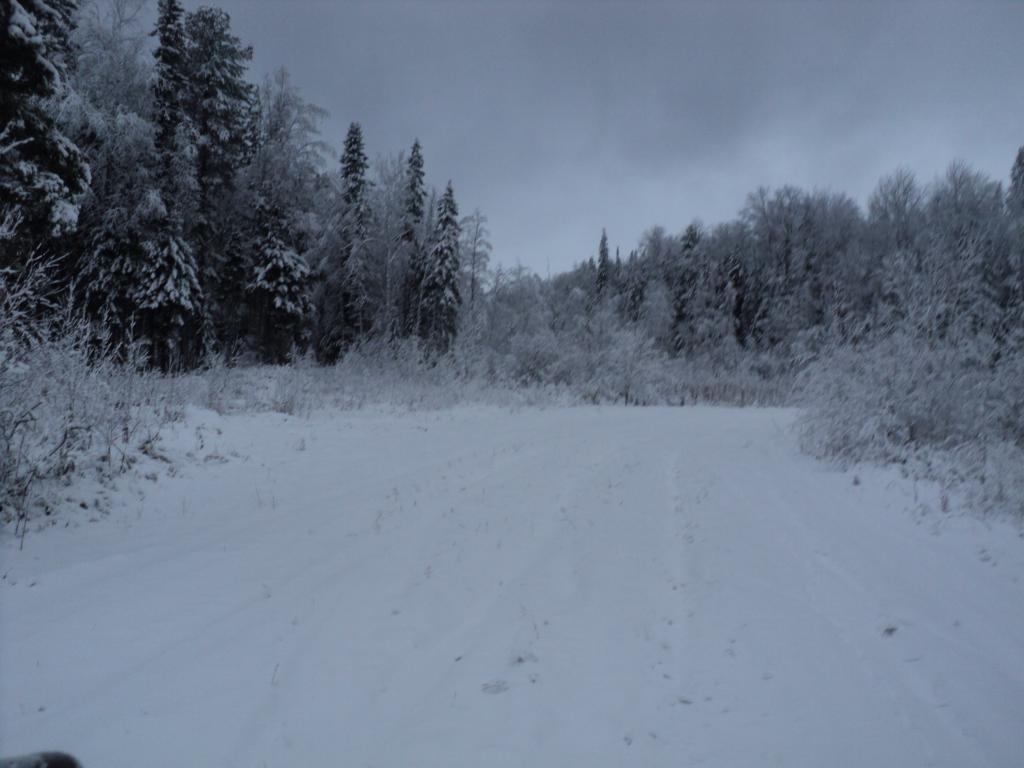 DSC09788.JPG
