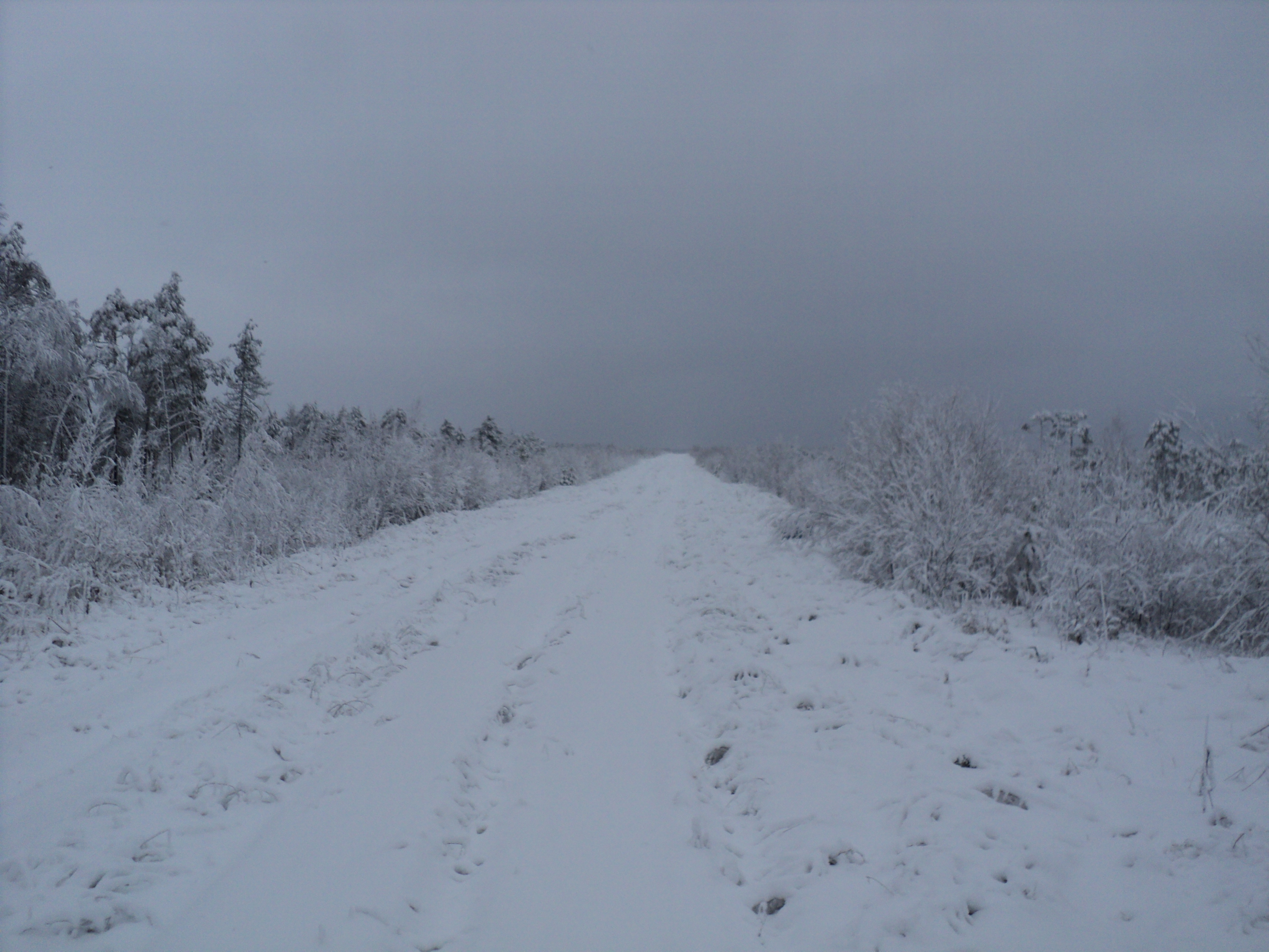 DSC09792.JPG