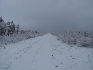 DSC09792.JPG