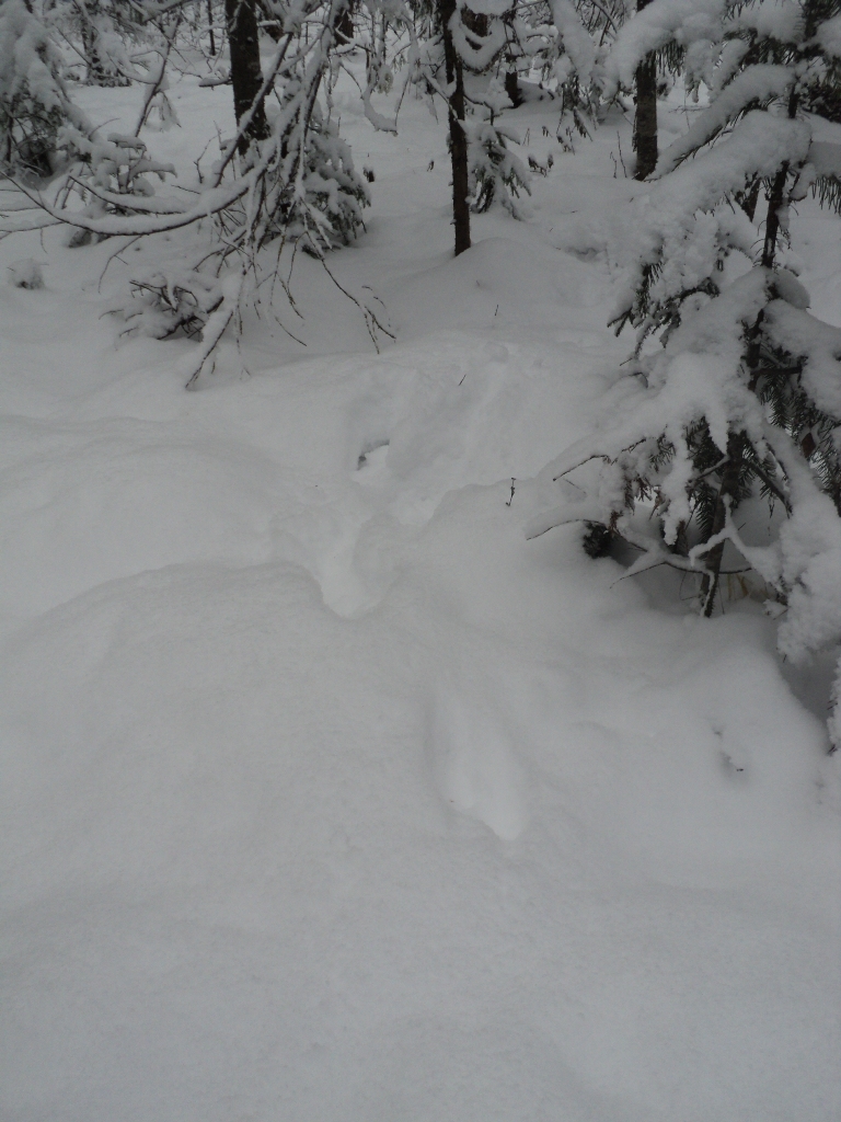 DSC09798.JPG