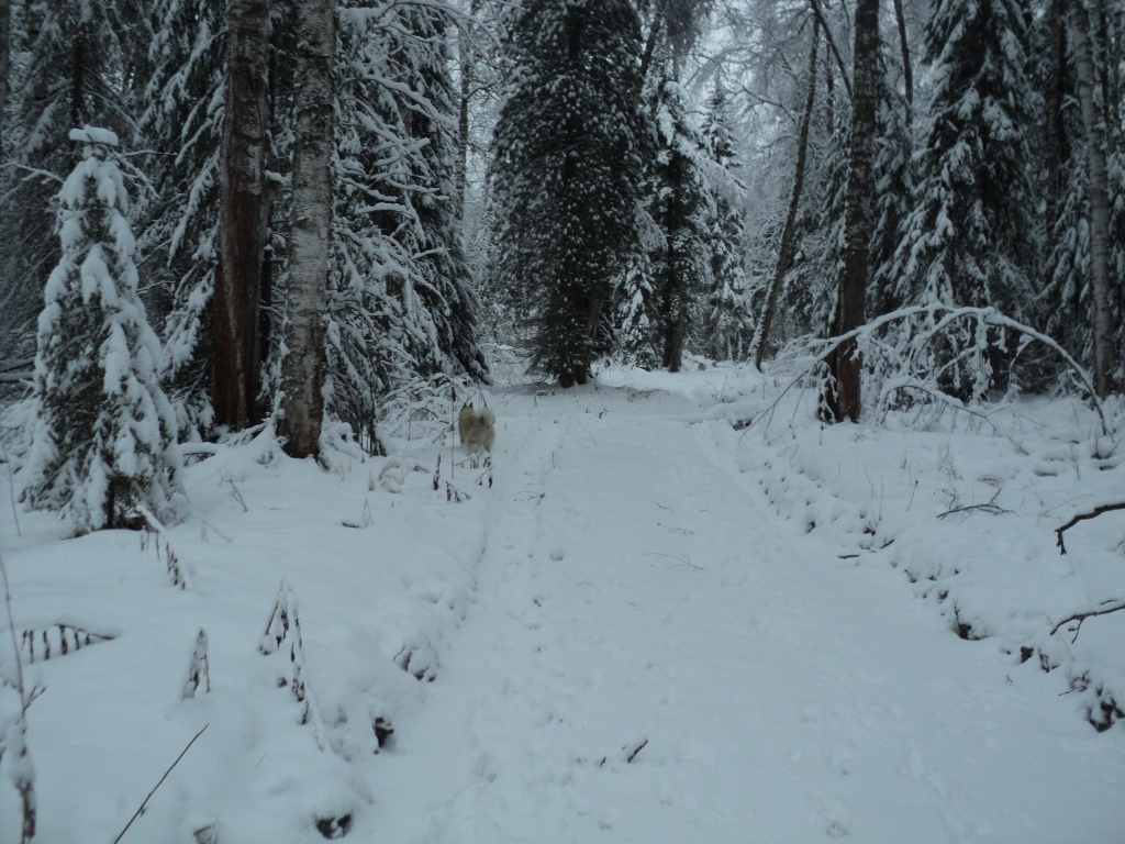 DSC09804.JPG