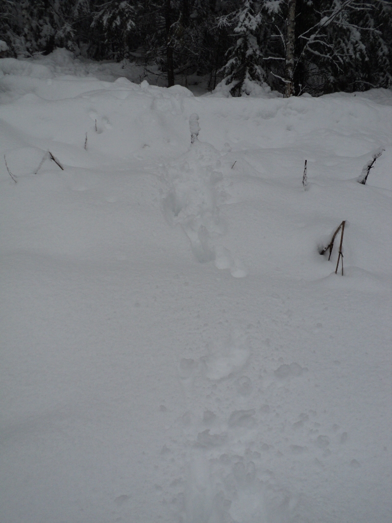 DSC09825.JPG